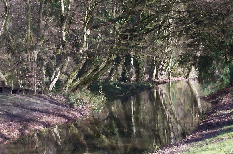 Bachart van Edgar Schermaul