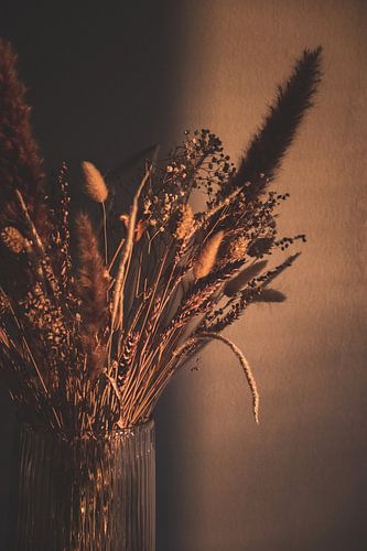 Plantes dans un vase en verre