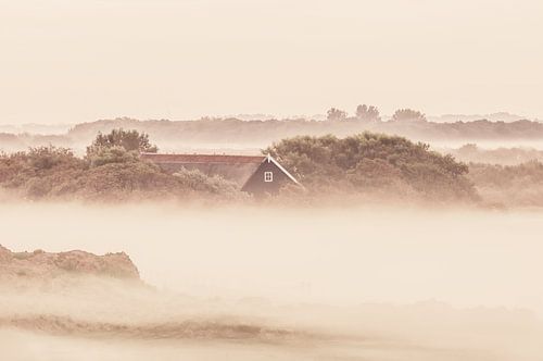 Mistige zonsopkomst Zeeland