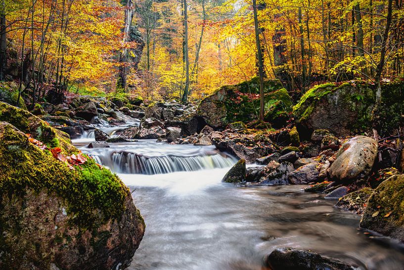 the power of autumn Hatz Ilsenburg par Tim Lee Williams
