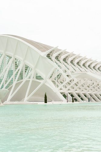 Vision d'avenir au bord de l'eau : l'icône architecturale de Valence