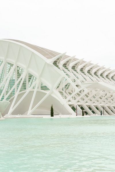 Zukunftsvision am Wasser: Architektur-Ikone Valencia von NZME Photography