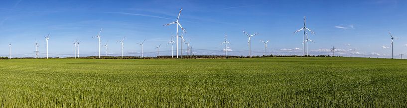 Wind farm Panorama - many wind turbines by Frank Herrmann