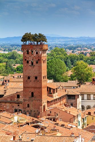 Torre Guinigi by Dennis van de Water