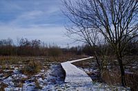 Wintergezicht