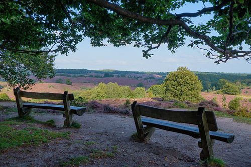 Wooden benches The Posbank