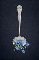 Cuillère en argent avec myosotis