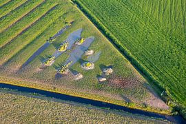 Wiese Dreiecke aus der Luft gesehen.