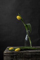 Photo three yellow tulips against dark background