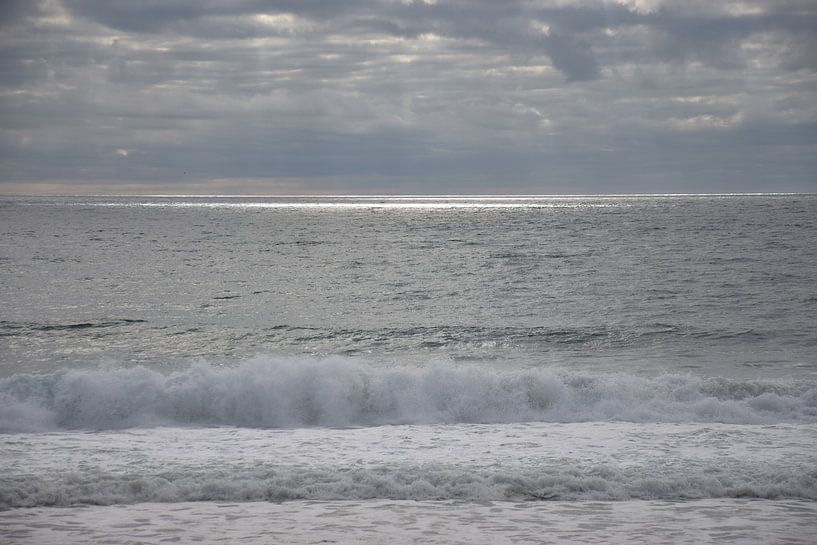 La doublure d'argent par Ingrid de Vos - Boom