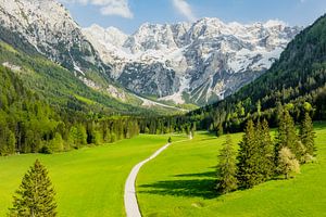 Luftaufnahme des Tals von Zgornje Jezersko im Frühling