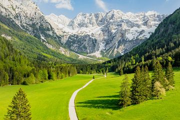 Zgornje Jezersko vallei vanuit de lucht gezien in de lente van Sjoerd van der Wal Fotografie