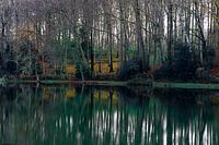 Nature reflection