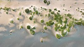 Junge Dünen von Top down - Maarten Kempen