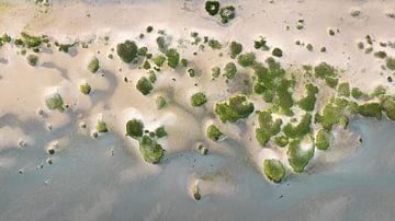 Young dunes by Top down - Maarten Kempen