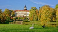 Herfst in het kasteelpark Wiesenburg van Gisela Scheffbuch thumbnail