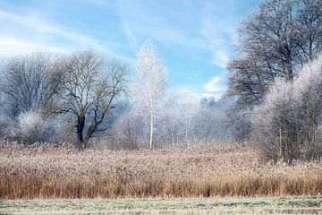 Winterlandschap in Beieren van ManfredFotos