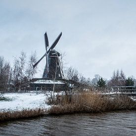 Calme hivernal au moulin sur Cynthia Verbruggen