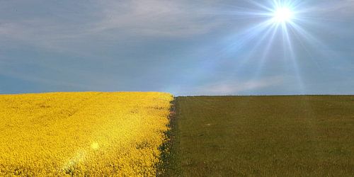 Geel en Groen sur Yvonne Blokland