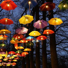 Festival des parapluies sur Leo van Vliet