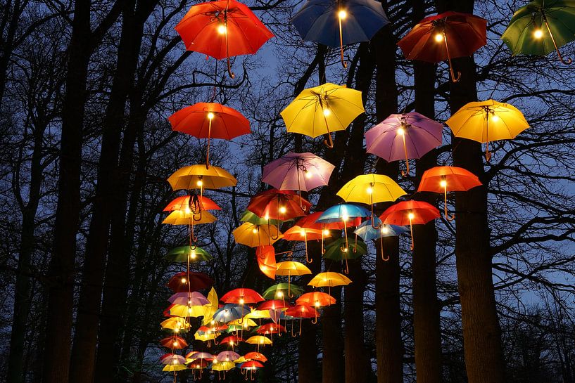 Umbrella festival by Leo van Vliet