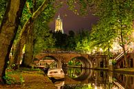Utrecht Oudegracht: Domkerk boven Smeebrug van Martien Janssen thumbnail