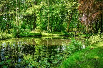 Vijver met bruggetje Notaristuin Grootegast