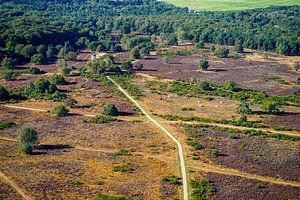 Die Hoorneboeg-Heide aus der Luft [05]