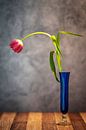 Dutch Ikebana 3. van Pieter van Roijen thumbnail