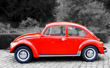 Volkswagen Beetle by Elly Wille-Neuféglise