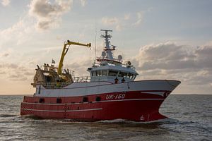 Fischereischiff für Harlingen