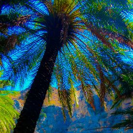 palmboom van photographili _
