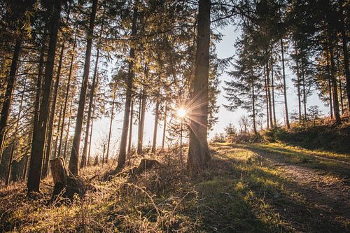Frühling im Sauerland