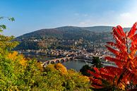 Heidelberg in Baden-Württemberg, am Neckar von Sjoerd van der Wal Fotografie Miniaturansicht