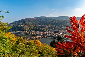 Heidelberg dans le Land allemand de Bade-Wurtemberg, sur le Neckar sur Sjoerd van der Wal Photographie