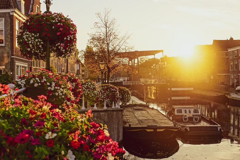 Nieuwe Rijn in Leiden von Dirk van Egmond