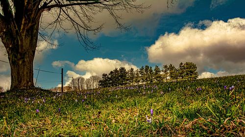 Nature and landscape in the Erzgebirge