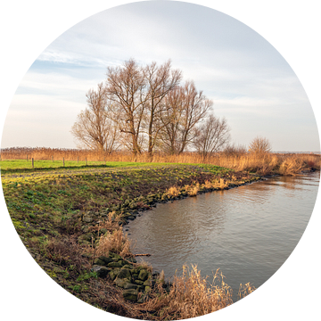 Nederlandse rivieroever in het winter seizoen van Ruud Morijn