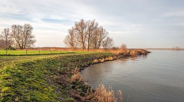 Niederländisches Flussufer in der Wintersaison