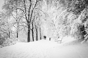 Winter forest walk by Lizet Wesselman