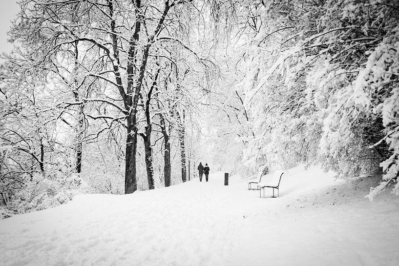 Randonnée en forêt en hiver par Lizet Wesselman