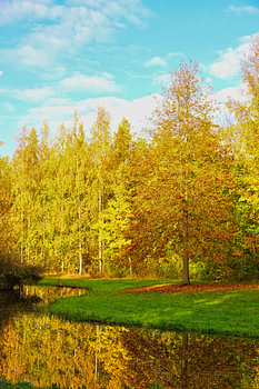 Autumn light by the water
