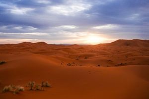 Désert du Sahara au coucher du soleil