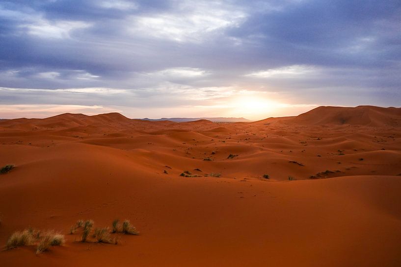 Désert du Sahara au coucher du soleil par Stijn Cleynhens