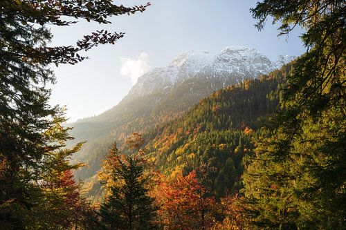 Mount Säuling near Neuschwanstein Castle in autumn for sunrise