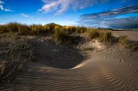 Duinen langs strand bij Breskens.