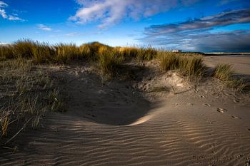 Dunes le long de la plage de Breskens.