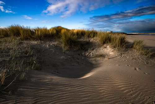 Dunes along beach at Breskens.