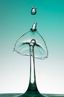 Drops of water (6)