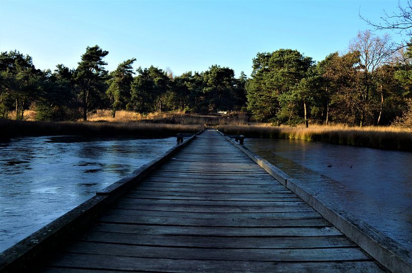 Eendenmeer by Jacqueline Janssen